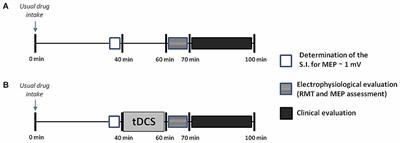 Effects of More-Affected vs. Less-Affected Motor Cortex tDCS in Parkinson’s Disease